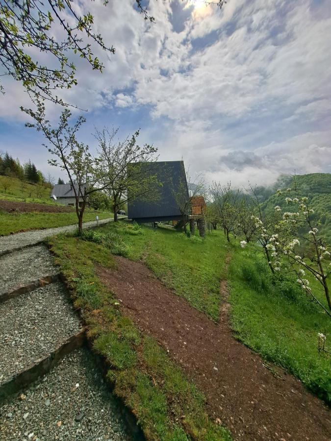 Fern Farm Tiny Home Mojkovac Exteriér fotografie