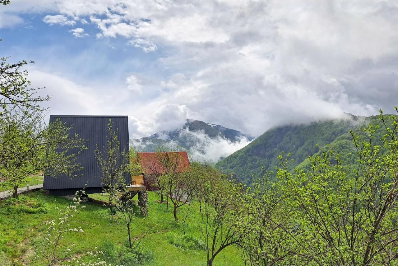 Fern Farm Tiny Home Mojkovac Exteriér fotografie