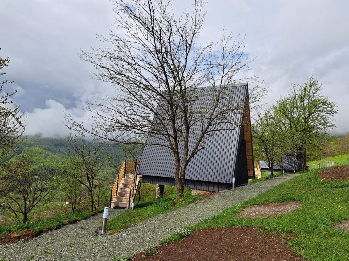 Fern Farm Tiny Home Mojkovac Exteriér fotografie