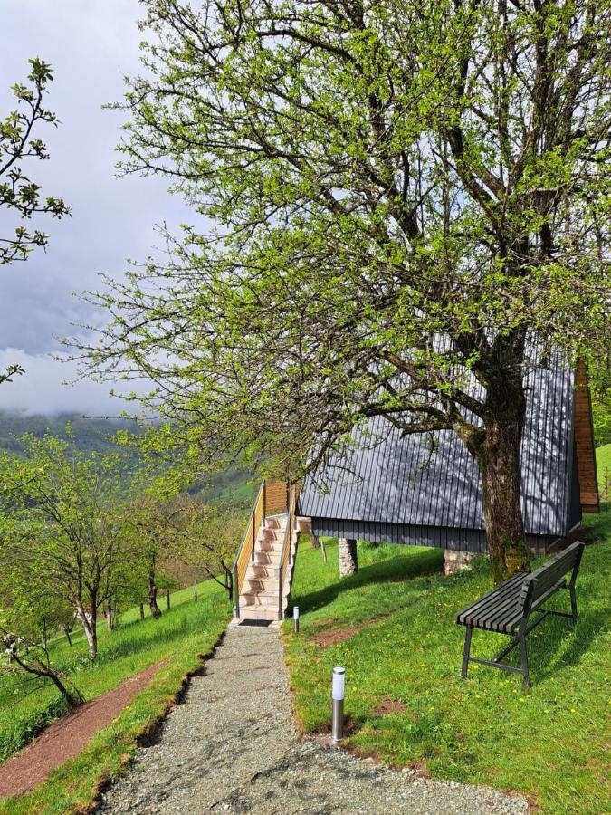 Fern Farm Tiny Home Mojkovac Exteriér fotografie