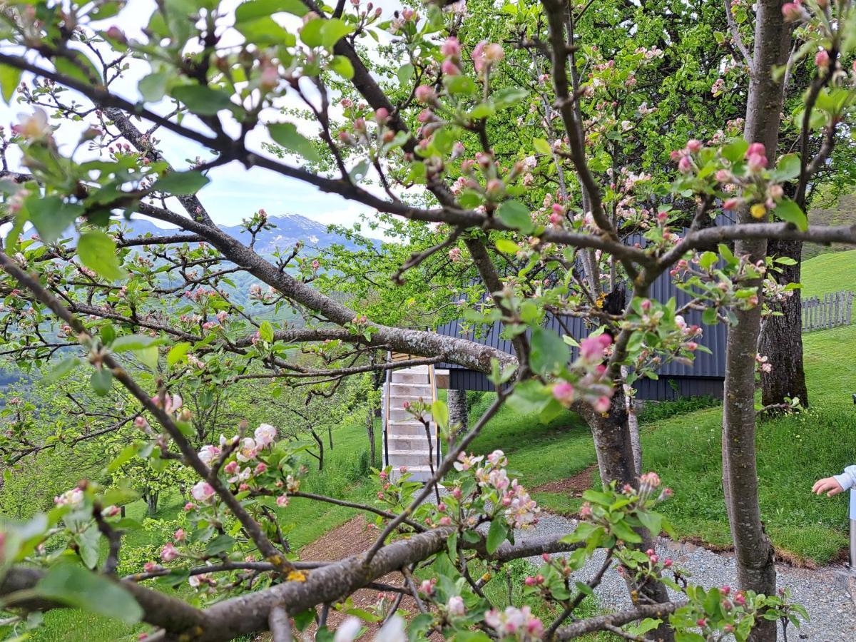 Fern Farm Tiny Home Mojkovac Exteriér fotografie