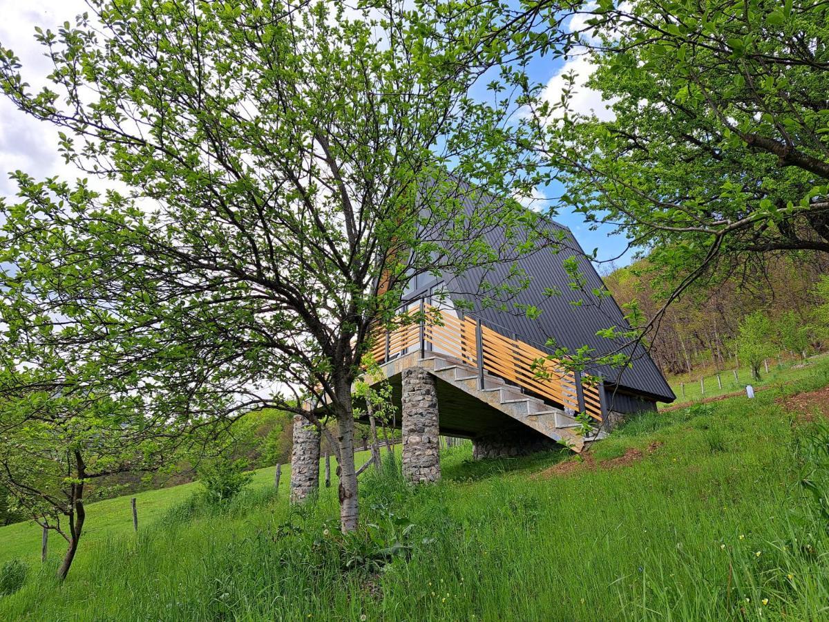 Fern Farm Tiny Home Mojkovac Exteriér fotografie