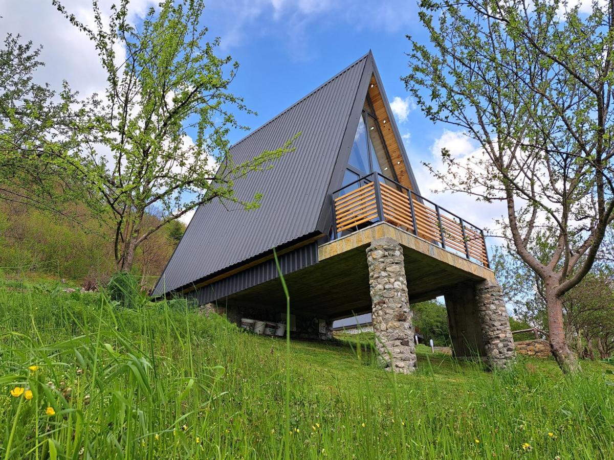 Fern Farm Tiny Home Mojkovac Exteriér fotografie