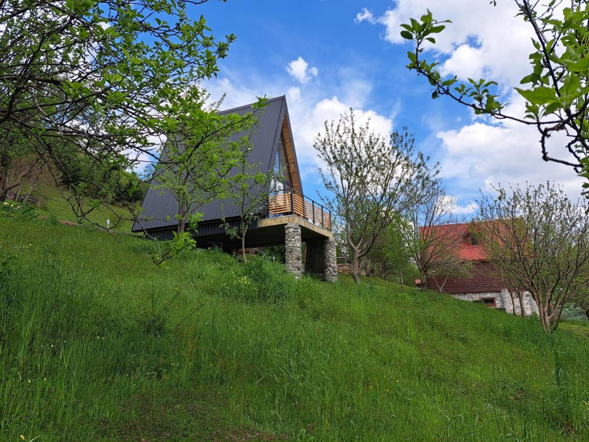 Fern Farm Tiny Home Mojkovac Exteriér fotografie