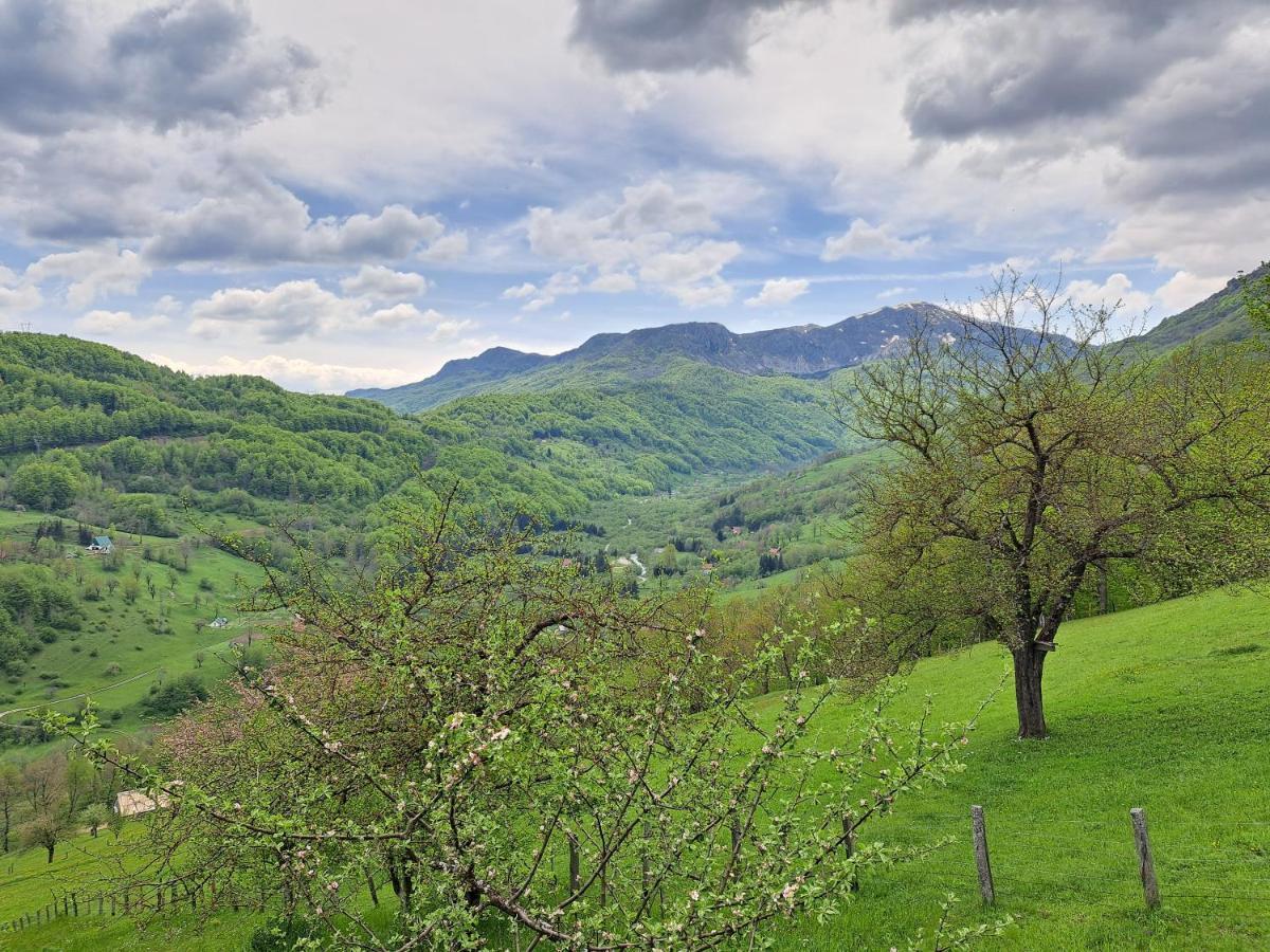 Fern Farm Tiny Home Mojkovac Exteriér fotografie