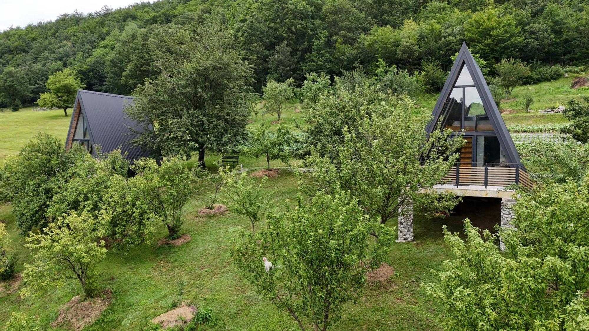 Fern Farm Tiny Home Mojkovac Exteriér fotografie