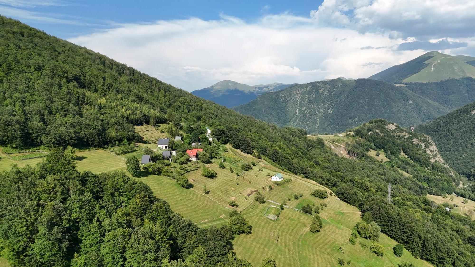 Fern Farm Tiny Home Mojkovac Exteriér fotografie