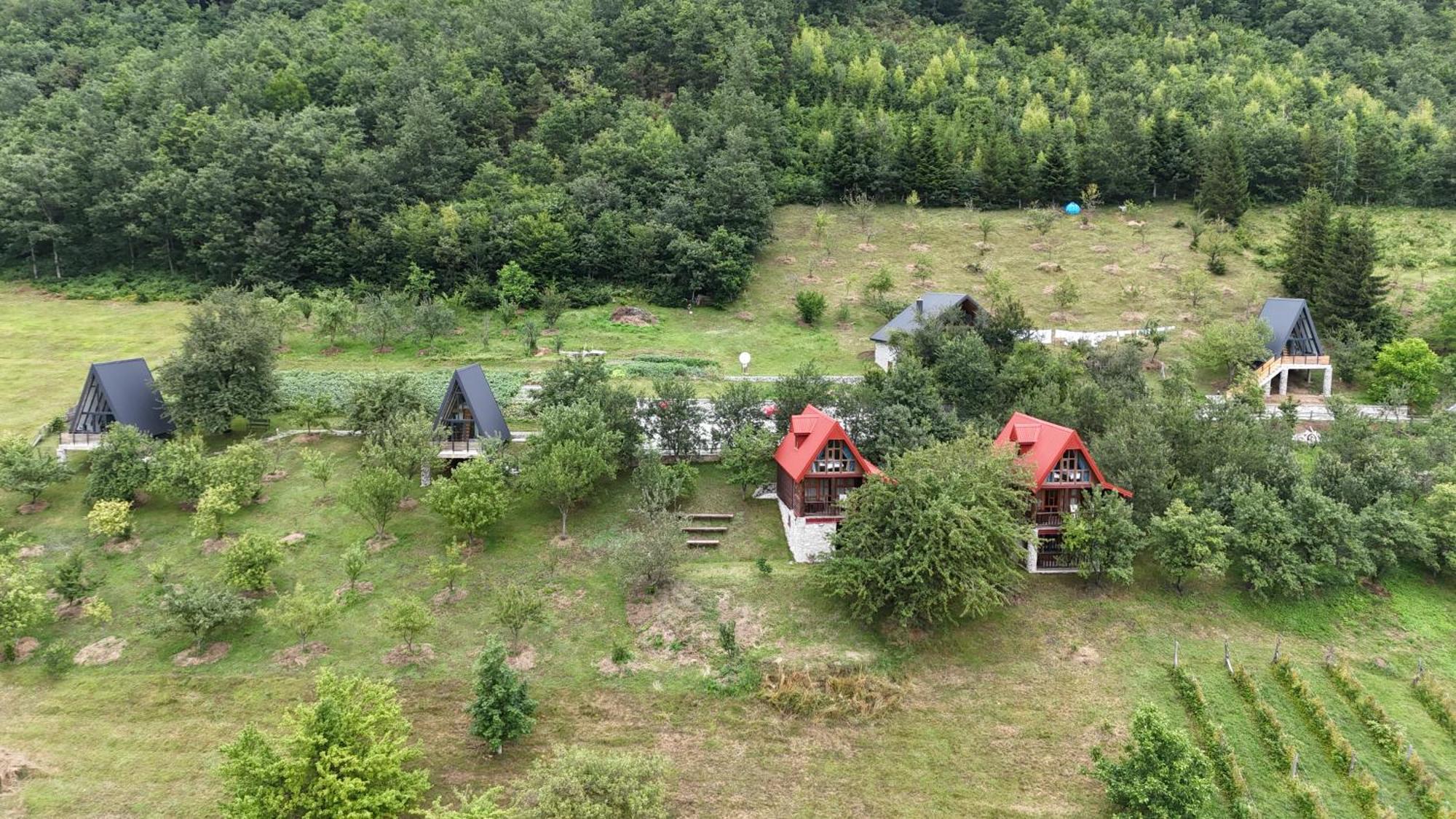 Fern Farm Tiny Home Mojkovac Exteriér fotografie