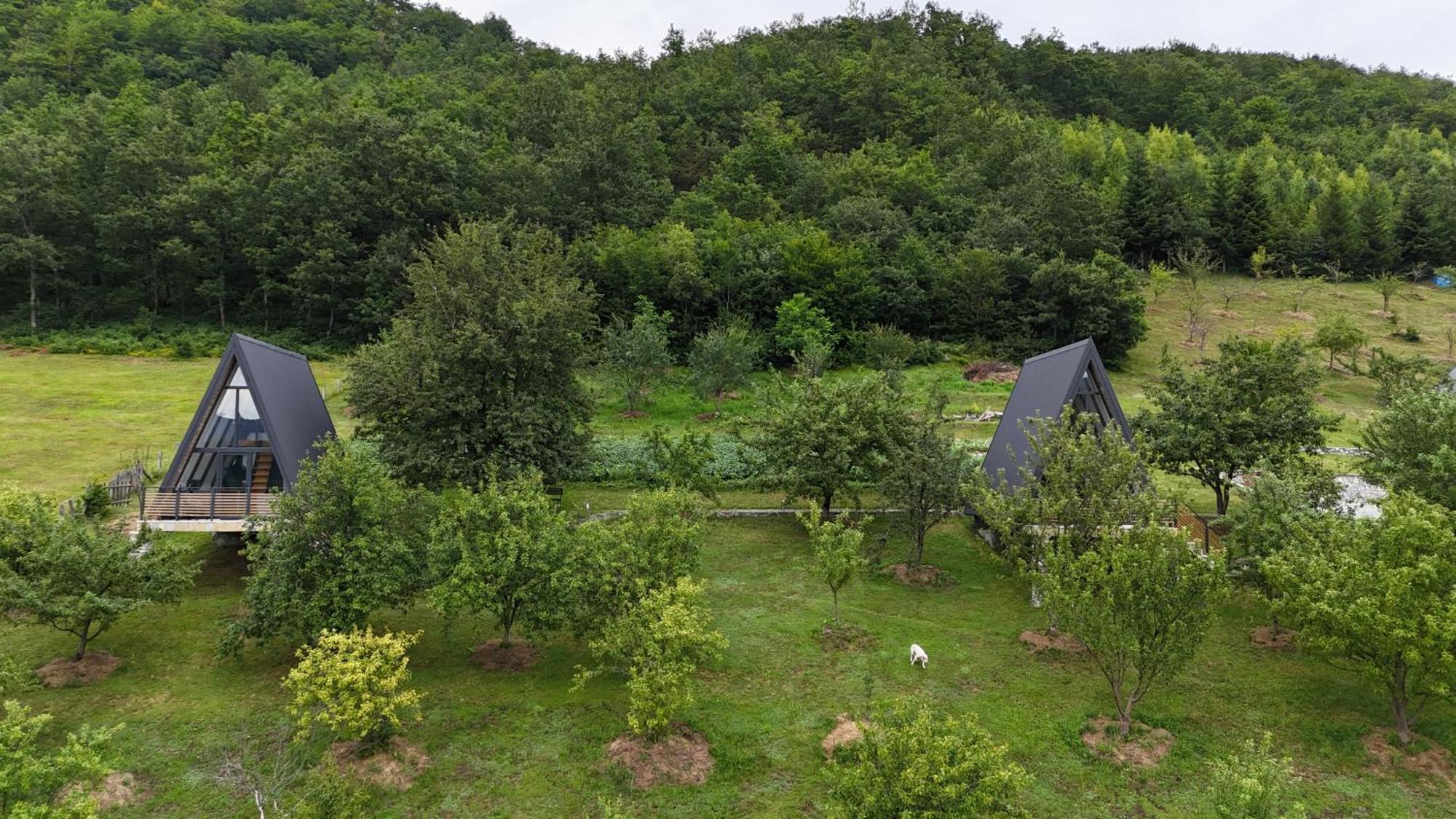 Fern Farm Tiny Home Mojkovac Exteriér fotografie
